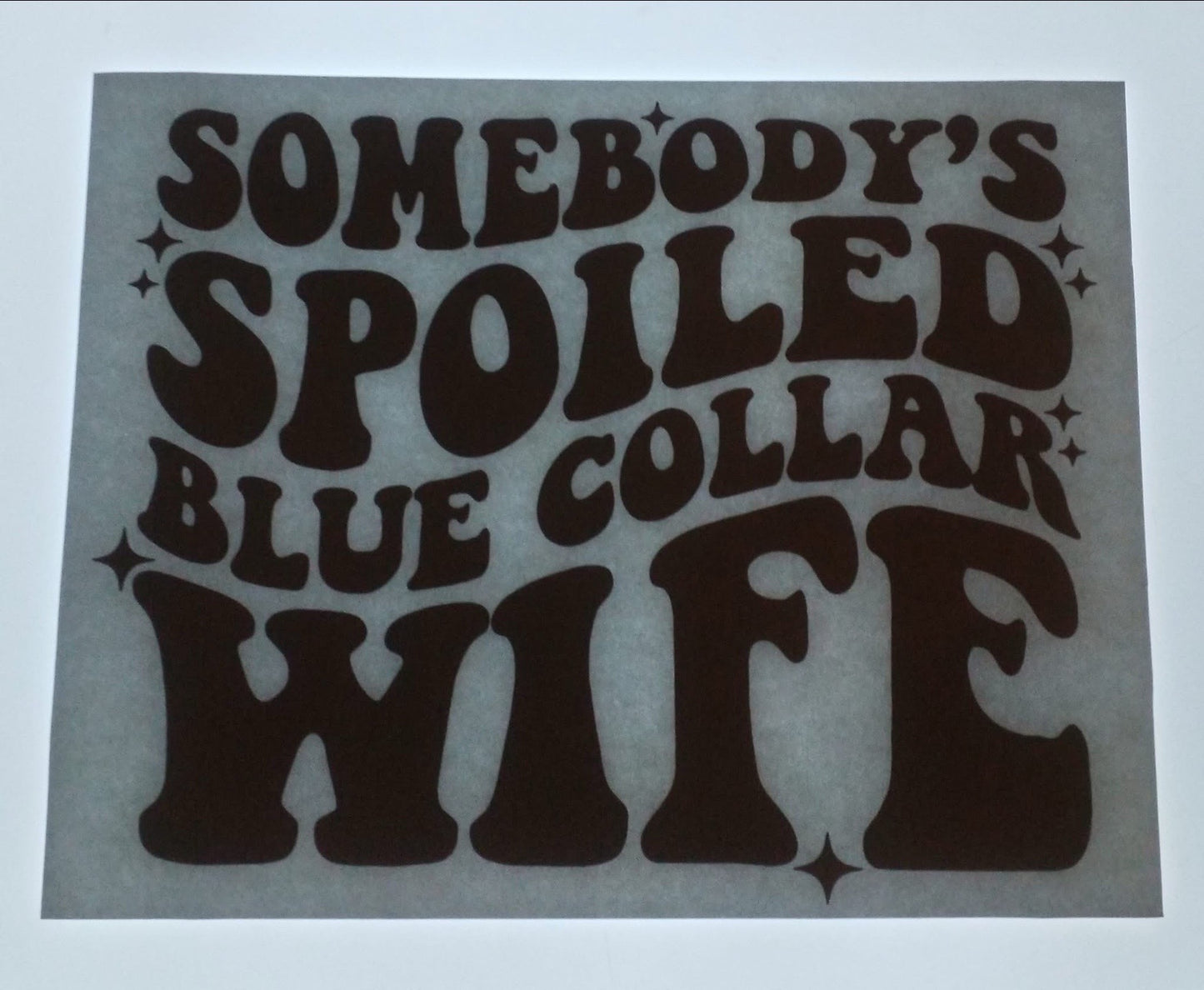 Somebody's Spoiled Blue Collar Wife