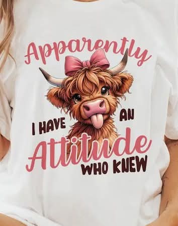 Apparently I Have An Attitude Who Knew