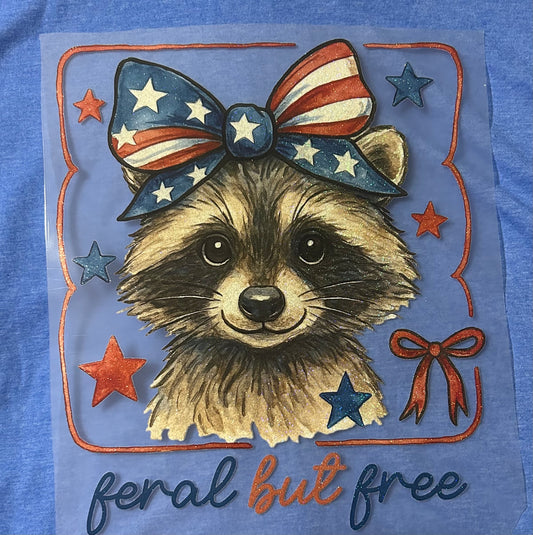 Feral & Free Raccoon