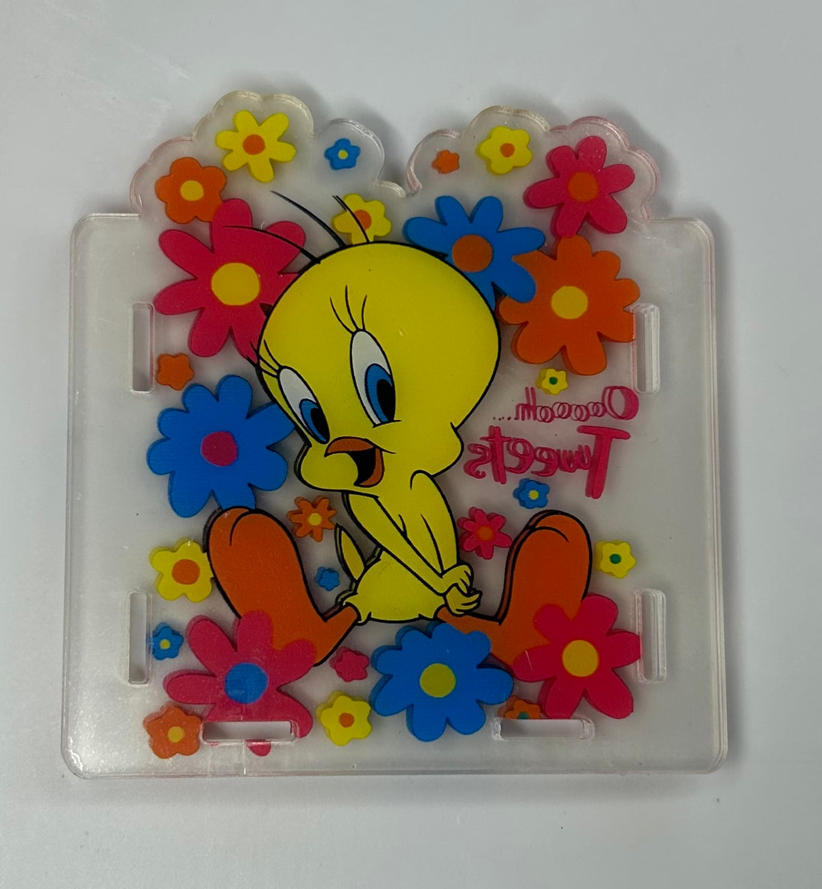 Tweety Pen Holder