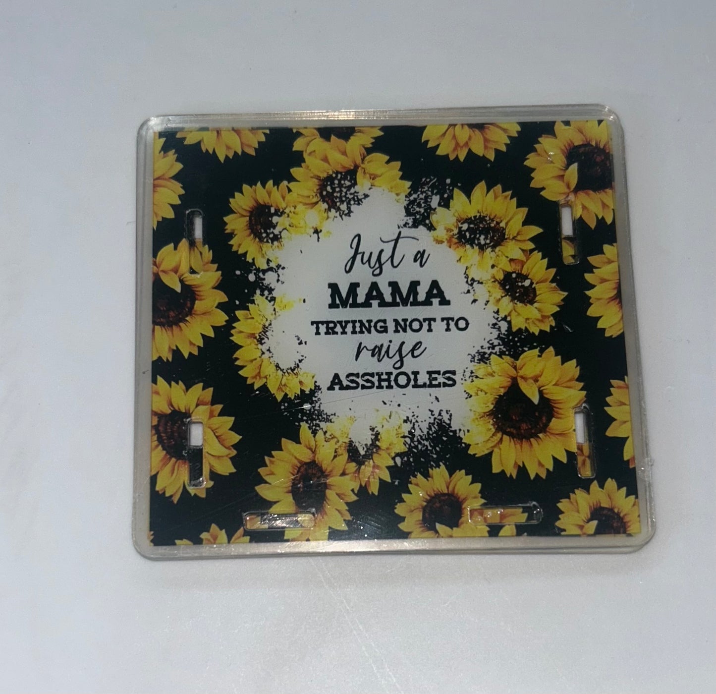Just A Mama Trying Not To Raise Assholes Pen Holder
