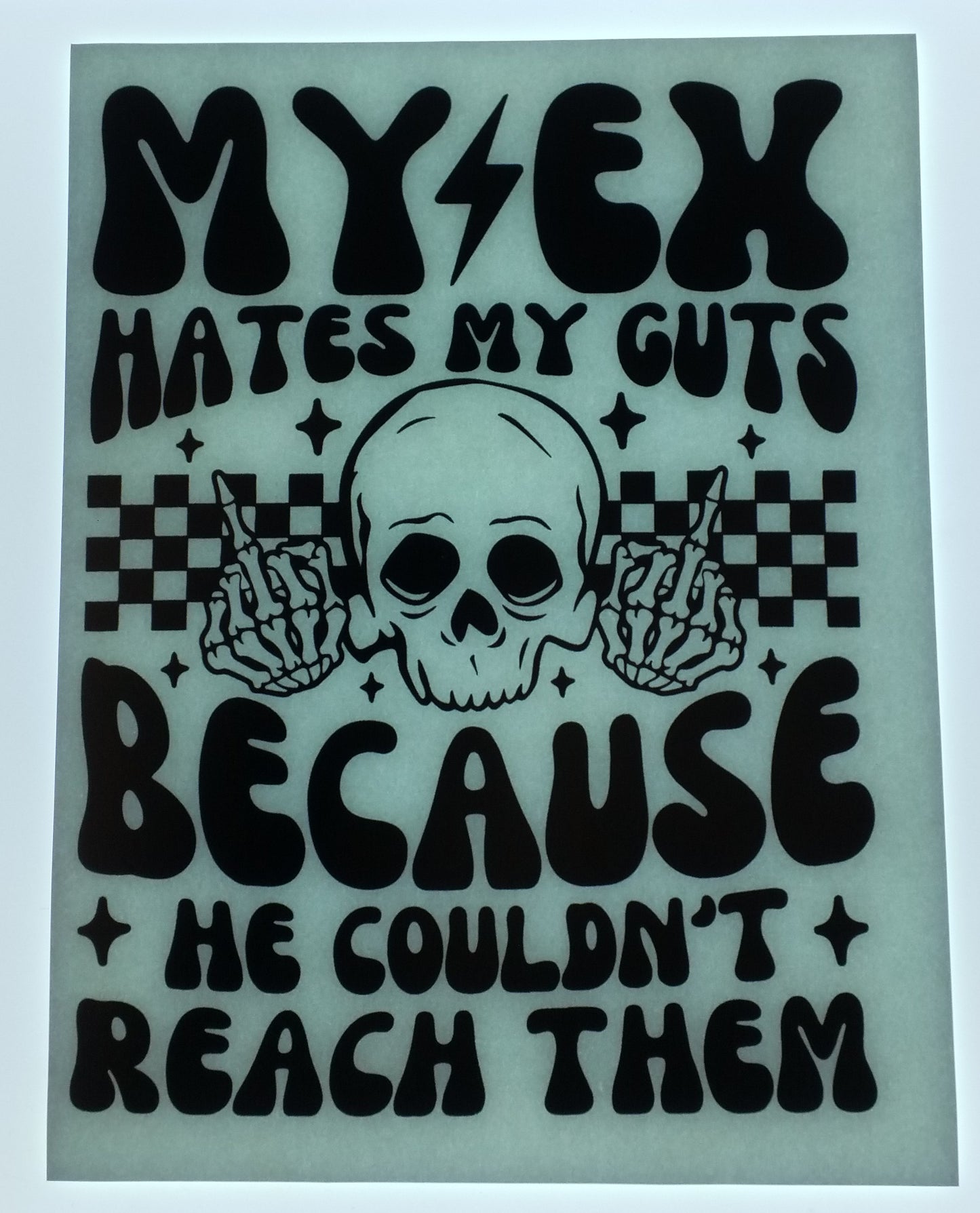 My Ex Hates My Guts
