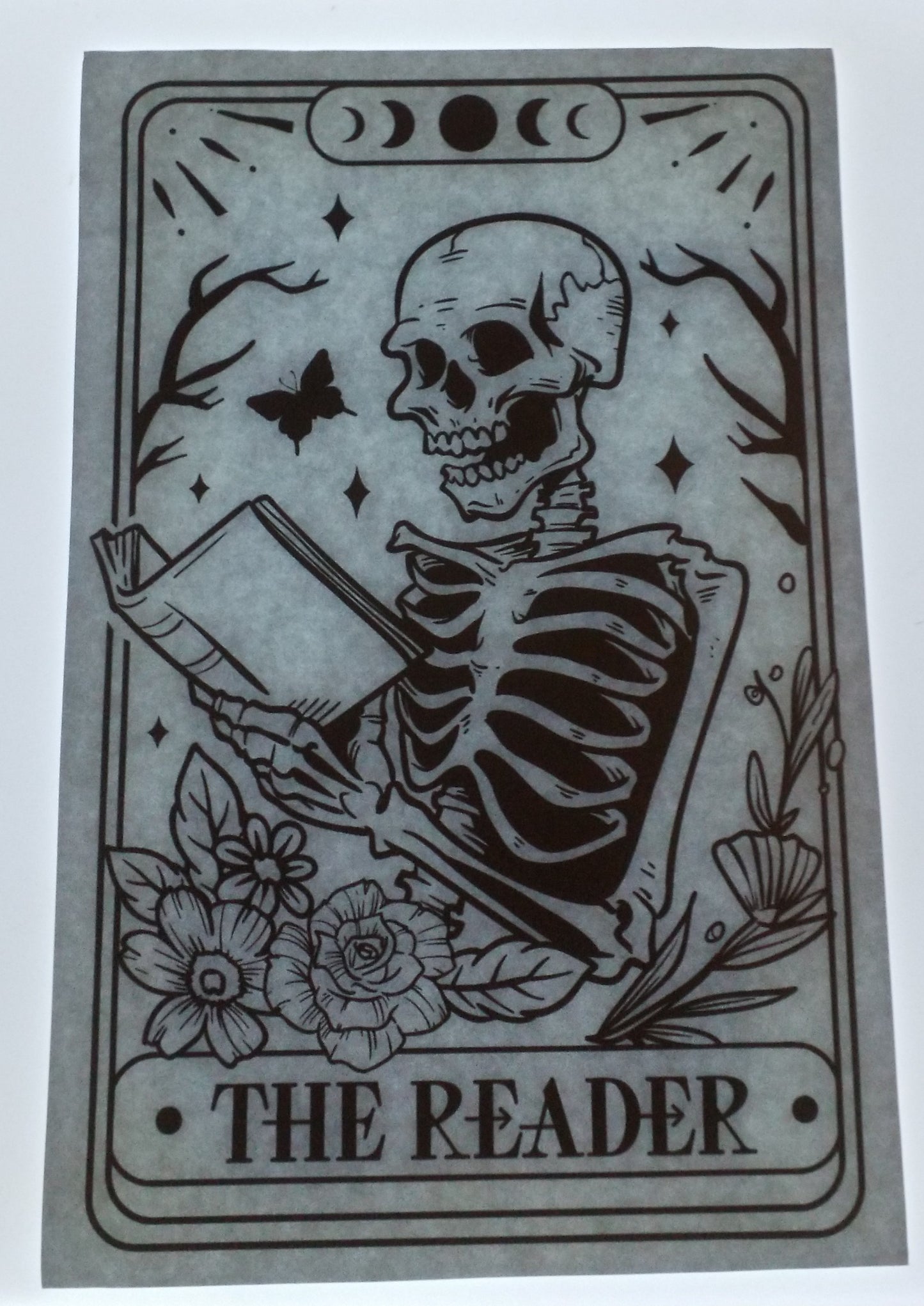 The Reader