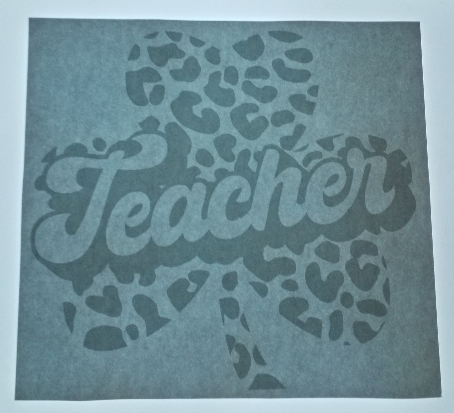 Teacher