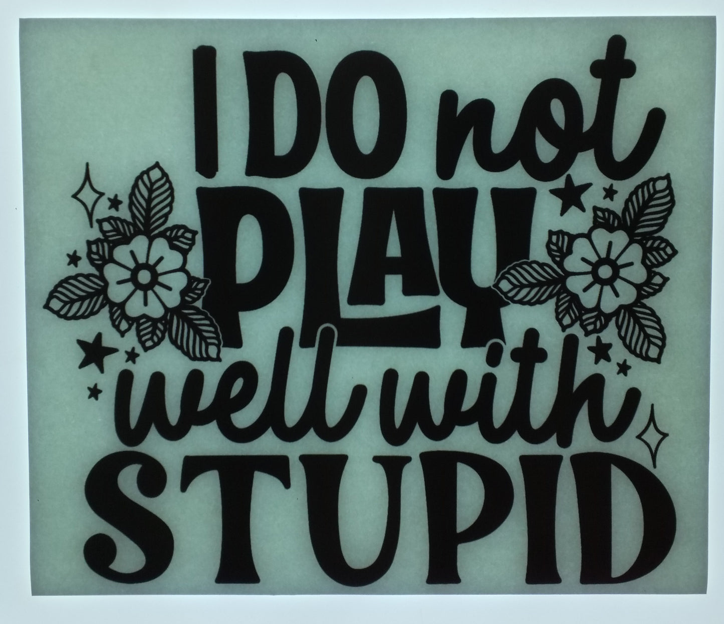 Don't Play Well With Stupid